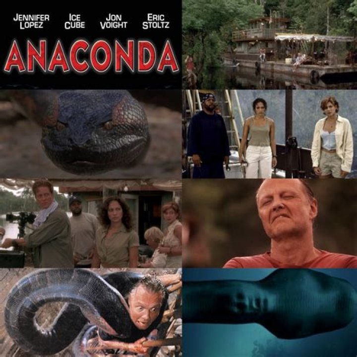1 Lady, One Anaconda: The Fascinating Tale You've Been Missing Out On