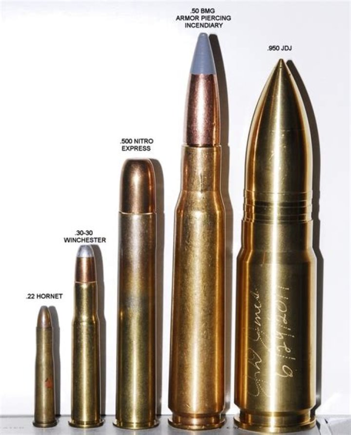 .950 Caliber: The Ultimate Guide to Understanding the World's Largest Revolver Cartridge
