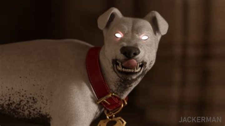 A Wondrous Affair: The Enigmatic Journey of Jackerman