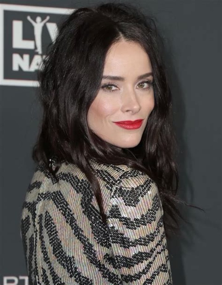 Unveiling the Multifaceted Talent of Abigail Spencer