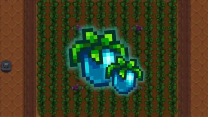 Discovering the Mysteries of Ancient Fruit: Nature's Timeless Treasures