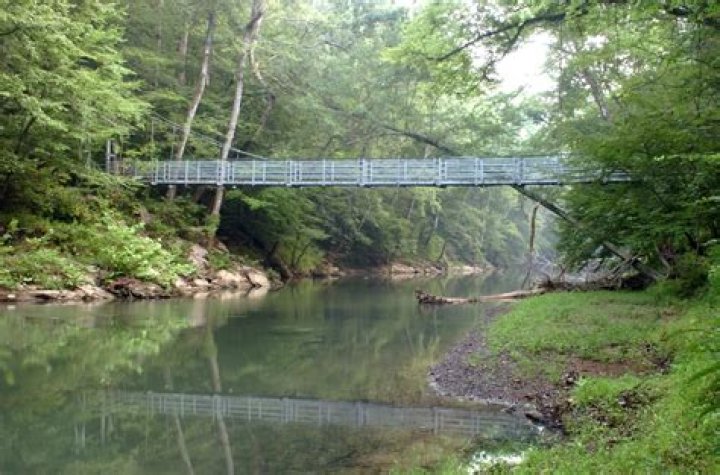 Discover Audubon Acres: Homes & Community