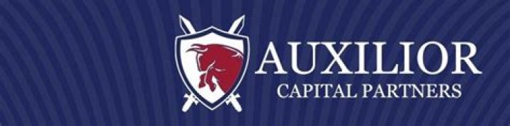 Auxilior Capital Partners: The Ultimate Guide to a Leading Investment Firm