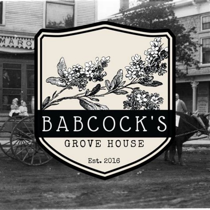 Discovering the Enchantment of Babcock's Grove