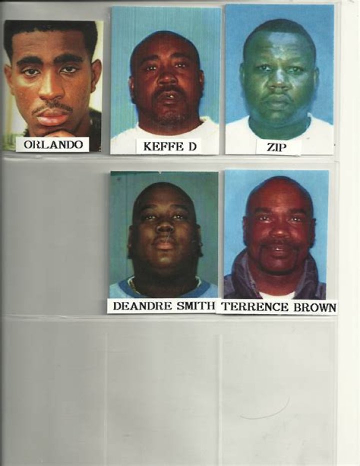 Baby Lane: The Ultimate Guide to Understanding Baby Lane and Its Benefits