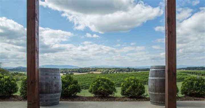 Barren Ridge Vineyards: A Journey Through Virginia's Finest Wine Experience
