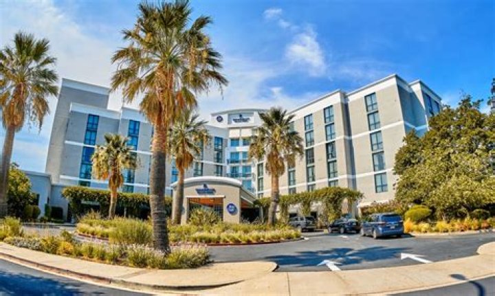 Discovering the Bay Club Walnut Creek: A Premier Lifestyle Destination