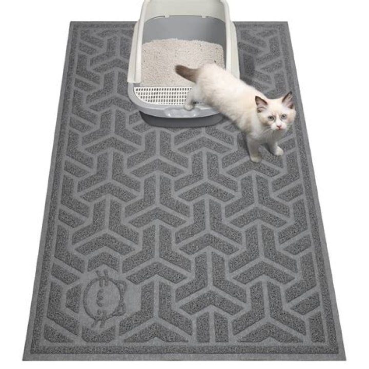 Discovering the Best Cat Litter Mat: Your Ultimate Guide