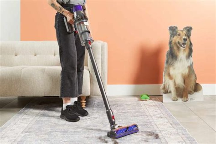 Best Pet Hair Vacuum: Your Ultimate Guide to Choosing the Right Vacuum for Pet Owners