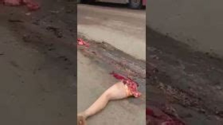 Discover the Ultimate Gore Experience with BestGore. fun!