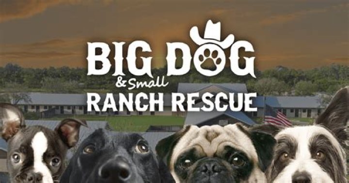 Big Dog Ranch: A Comprehensive Guide to the Largest No-Kill Dog Shelter in the U.S.