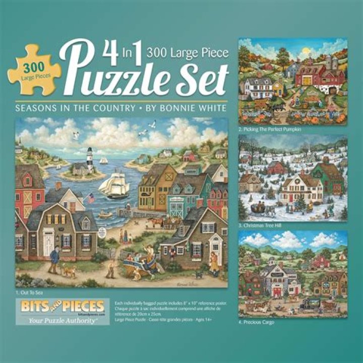 Discovering the Joy of Bits and Pieces Puzzles