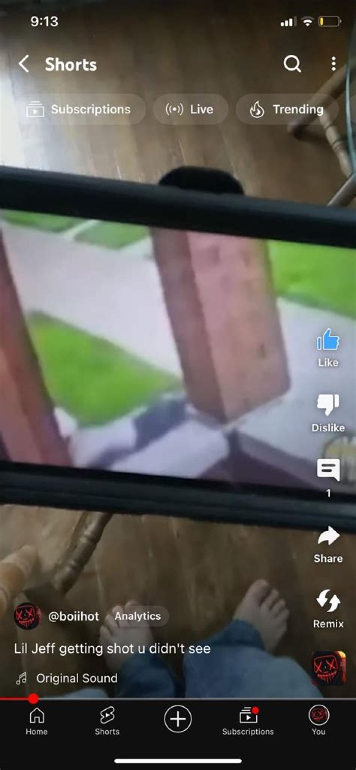 Unraveling the Mystery: The Bloodhound Lil Jeff Autopsy Picture