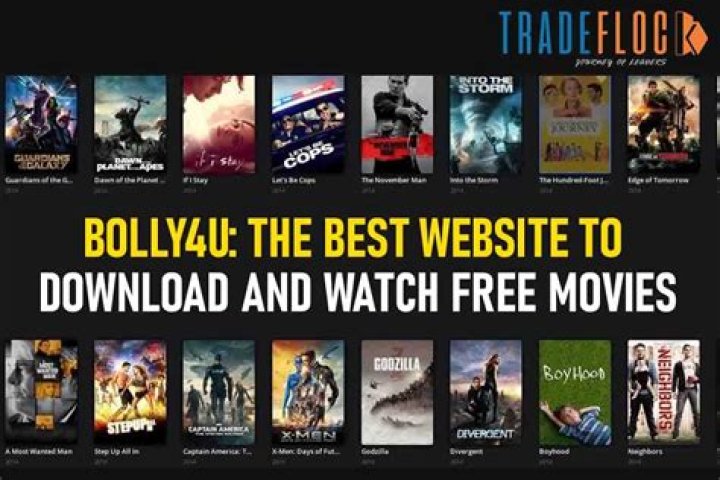 Bolly4U Farm: Your Ultimate Guide to the Best Bollywood Content