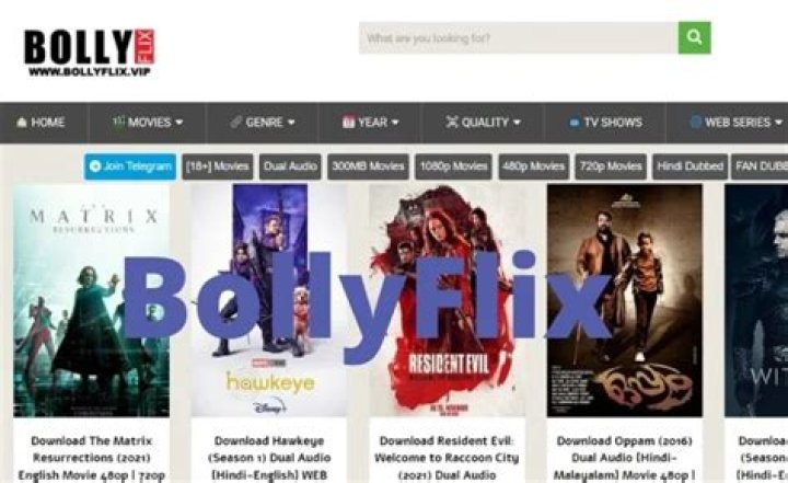 BollyFlix 2025: Your Ultimate Guide to Streaming Bollywood Hits