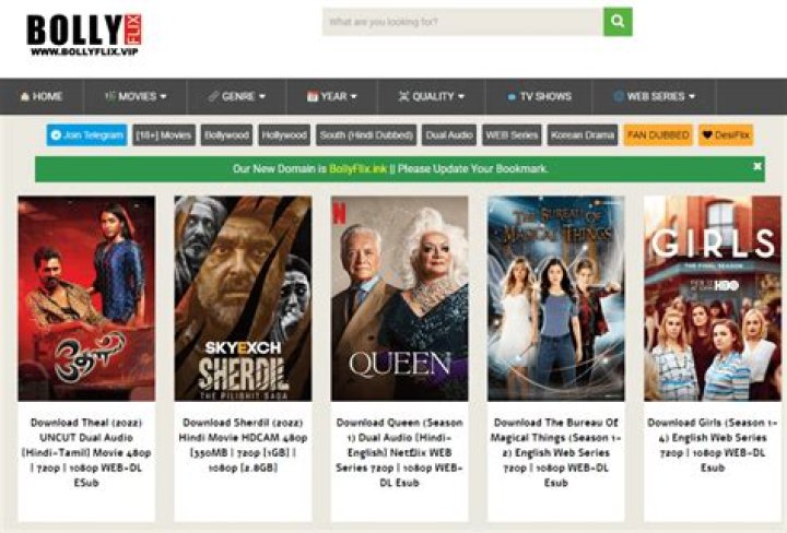 BollyFlix Hollywood: Your Ultimate Guide to Streaming Movies