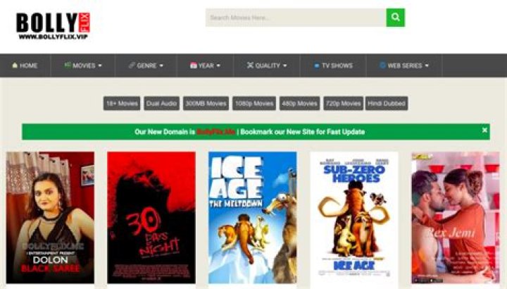 Bollyflix Hub: The Ultimate Destination for Bollywood Enthusiasts