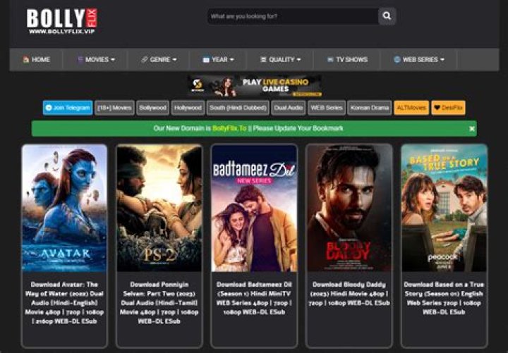 BollyFlix in Page 2: Your Ultimate Guide to Navigating the World of Bollywood Movies