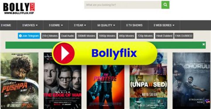 Bollyflix n8nja: Your Ultimate Guide to Streaming Bollywood Movies