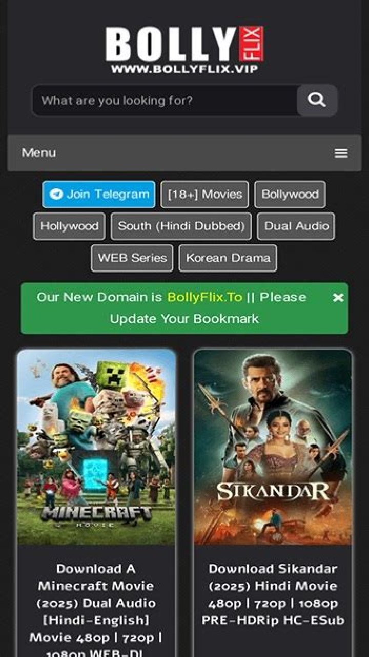 Bollyflix Shop: Your Ultimate Destination for Bollywood Fashion and Merchandise