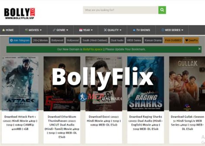 Bollyflix Surf: The Ultimate Guide to Streaming Bollywood Movies