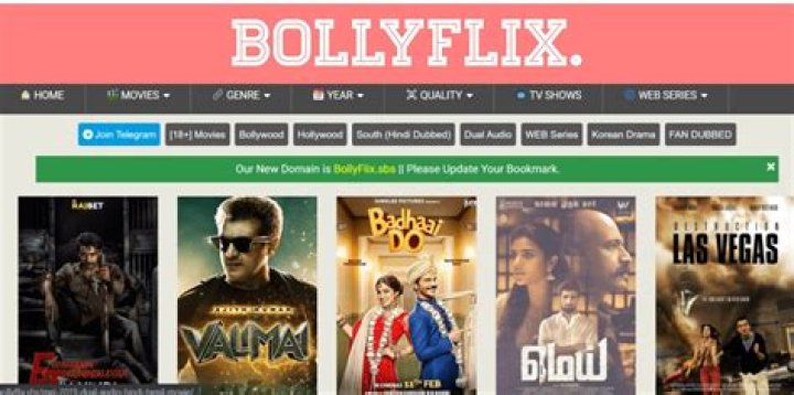 BollyFlix Website Movies Download in Hindi: Your Ultimate Guide to Bollywood Entertainment