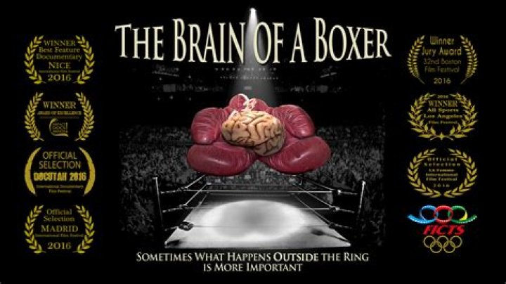 Insights into Boxer CTE: Examination of Risks and Implications