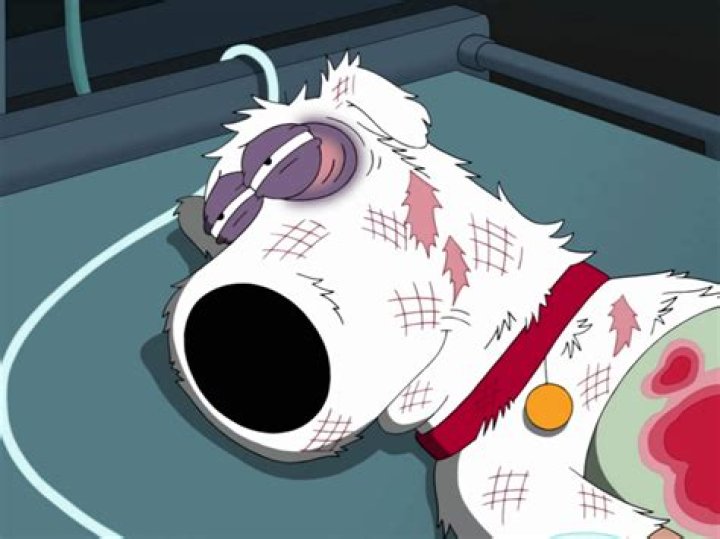 Is Brian Griffin Dead? The Truth Behind the Iconic Character