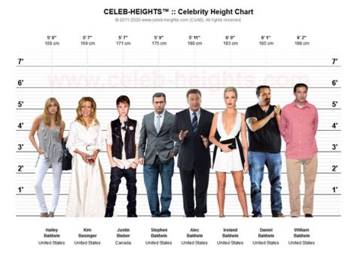 Unveiling the Allure: Celebrity Measurements 38-28-38