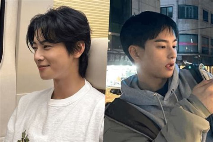 Cha Eun-Woo's Brother: Unveiling the Life and Connection