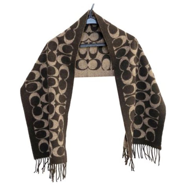 Elevate Your Style with the Timeless Coach Scarf