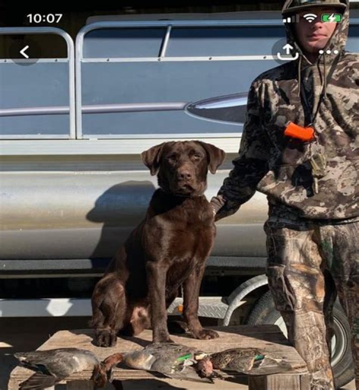 Cole Prevost Dog Video Full: An In-Depth Look at the Viral Sensation