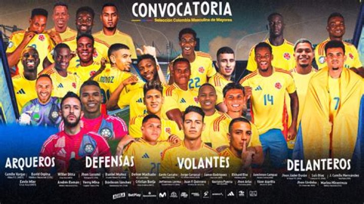 Colombia National Football Team Standings: A Comprehensive Analysis
