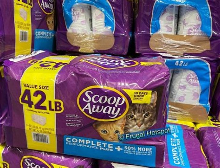 Ultimate Guide to Costco Cat Litter: The Best Choices for Your Feline Friend
