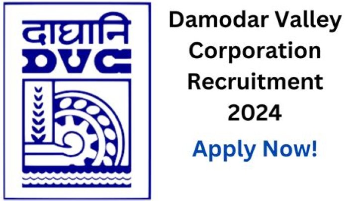 Damodar Valley Corporation: Pioneering Development in India