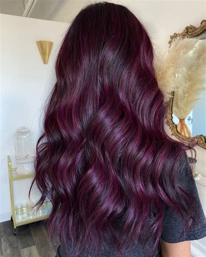Unveiling the Allure of Dark Plum Hair Color
