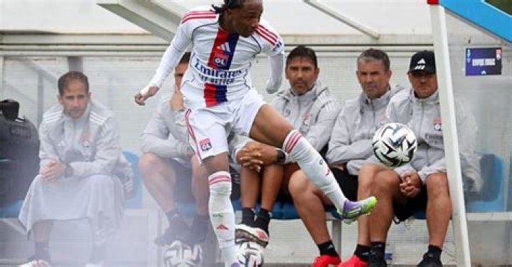 Dasimms: The Ultimate Guide to Exploring the Rising Trend