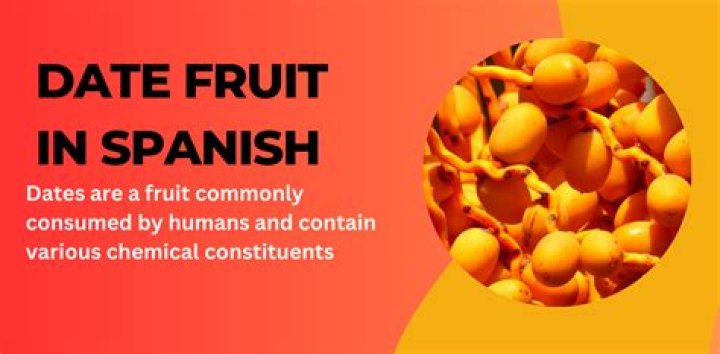 Exploring the Sweet Delights of Date Fruit in Spanish