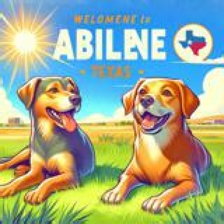 Finding the Best Dog Boarding in Abilene, TX: A Comprehensive Guide