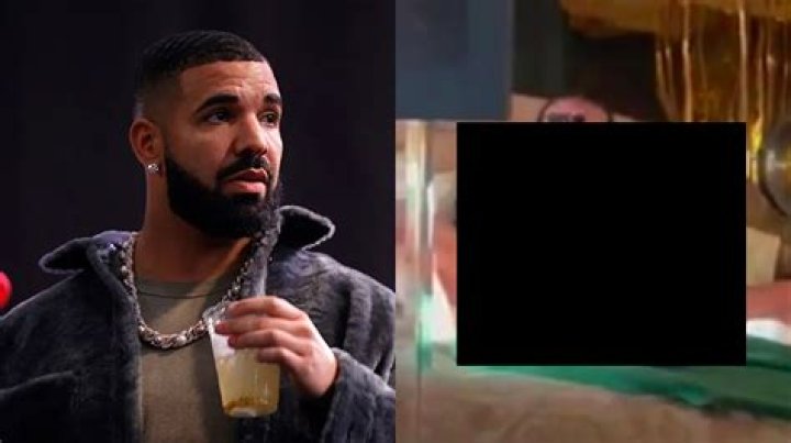 Unveiling the Mystery of Drake Dick: What You Need to Know
