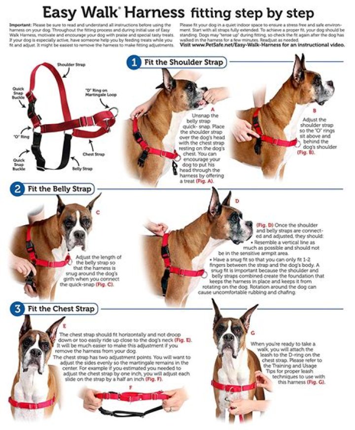 Unlock the Benefits of the Easy Walk Harness: A Comprehensive Guide