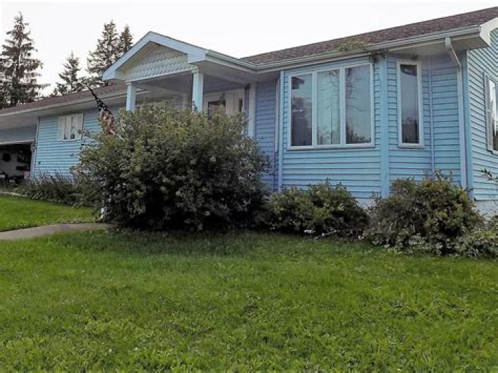 Understanding Edward Sharpe, Jade, and the Drugs: A Deep Dive into the Phenomenon