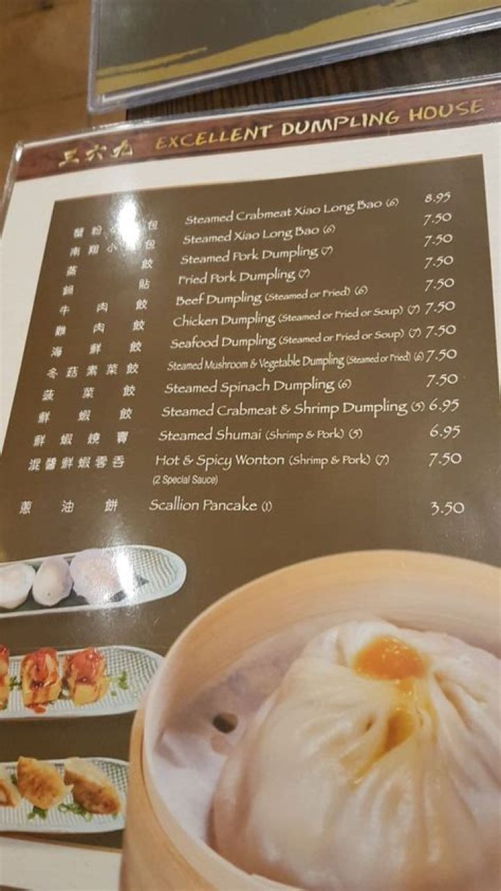 Amazing & Delicious Excellent Dumplings!