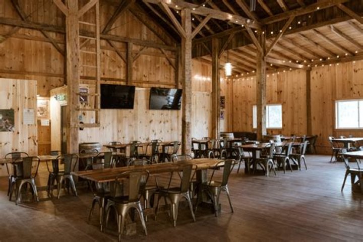 Nature's Unexpected Drama: The Falling Branch Phenomenon