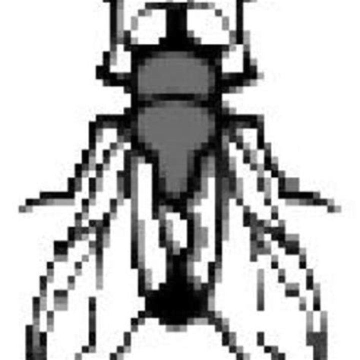 Unlock the Secrets of fimly fly com: Your Ultimate Guide to Adventure