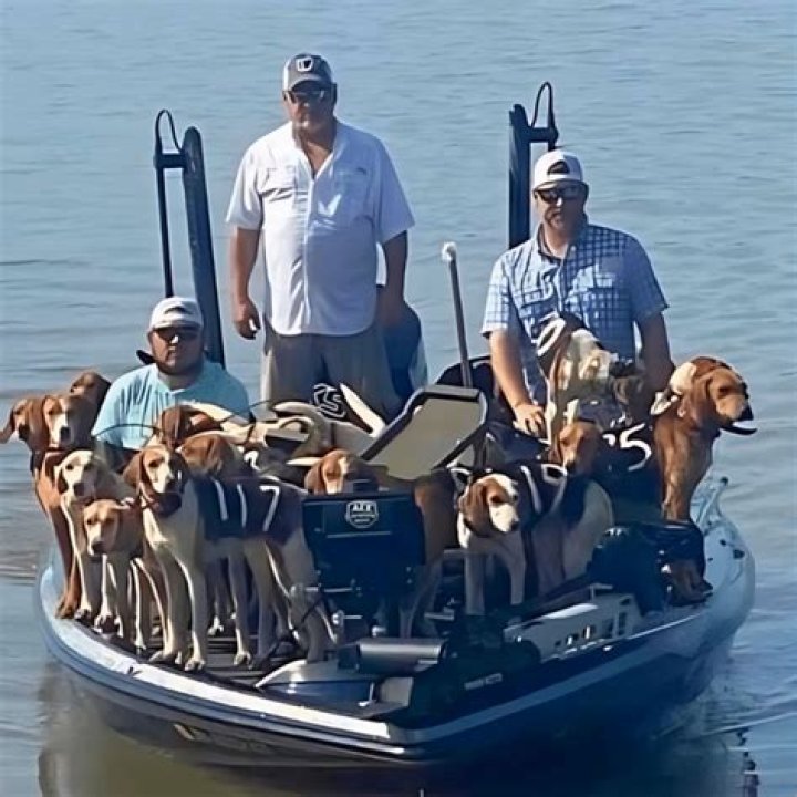 Fishing Crew Rescues 38 Dogs: A Heartwarming Tale of Compassion and Courage