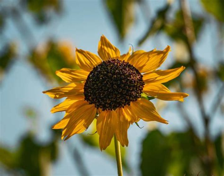 Free Download: Comprehensive Guide to Safe and Legal Downloads