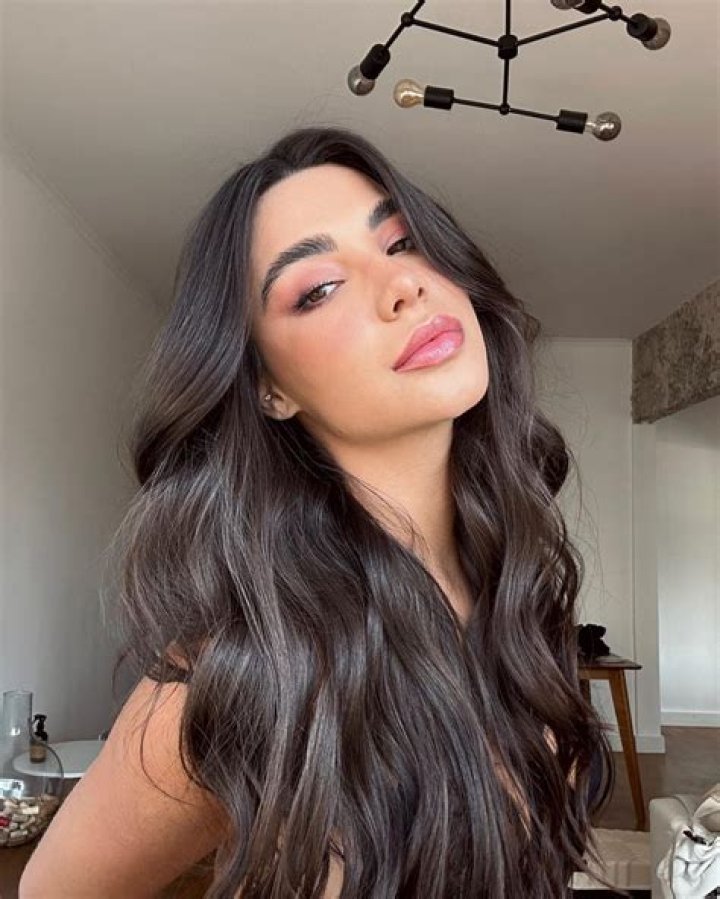 Gabriela Belt TS: A Comprehensive Guide to Understanding and Utilizing This Essential Tool