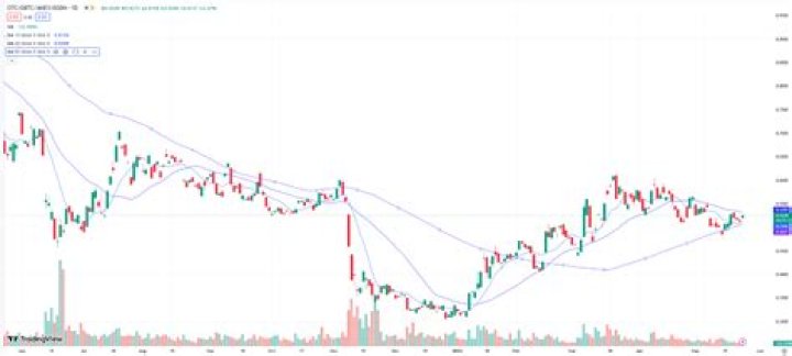 Unveiling the Dividend Secrets of Grayscale Bitcoin Trust (GBTC)
