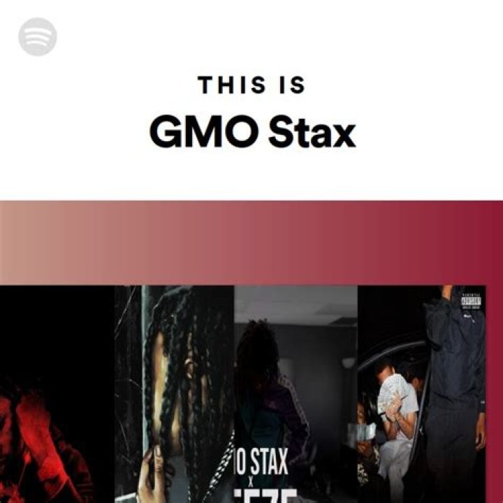 The Untold Truth Behind GMO Stax Real Name